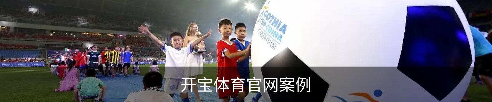 开宝体育官网案例
